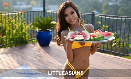LittleAsians: $9.95 for Life!